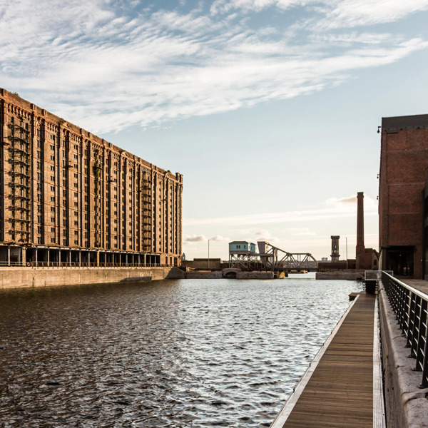 THL Portfolio Header