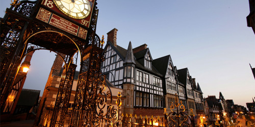 Chesterportfoliosmall